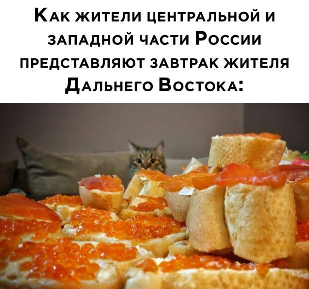 Смешные картинки вечер 20 января 2021 года