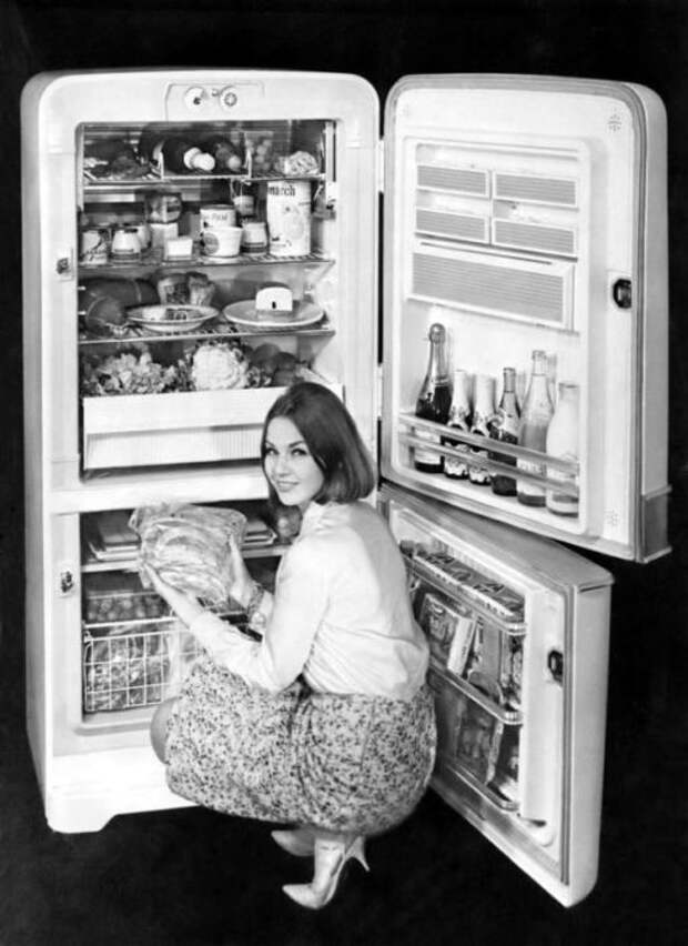Образцовый холодильник