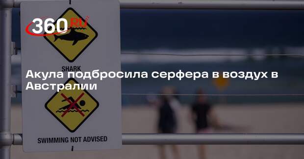 Акула подбросила серфера в воздух в Австралии