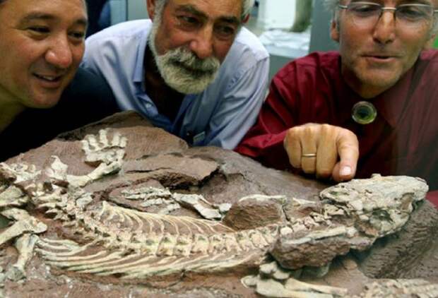 Тайное хобби делающее великим