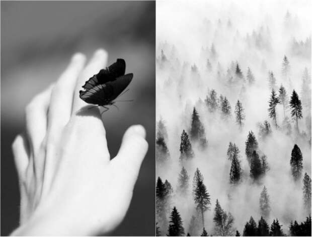 20 волшебных чёрно-белых фотографий
