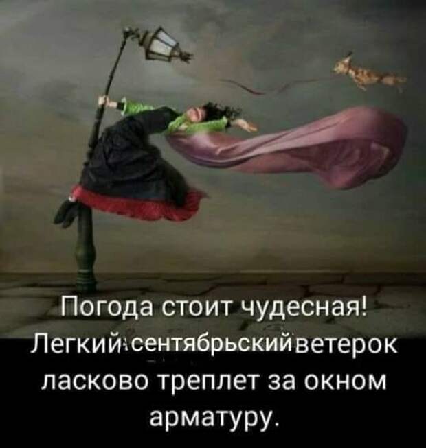 Юмор из интернета 467