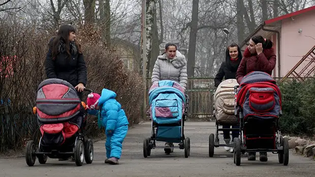 Общественники поддержали упрощение получения сертификата на маткапитал