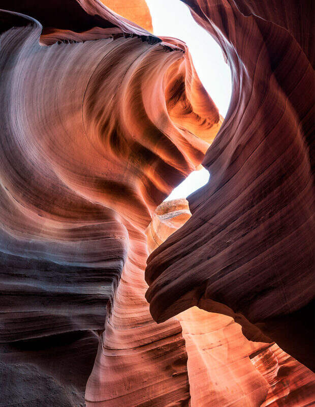 5_kanon-arizona
