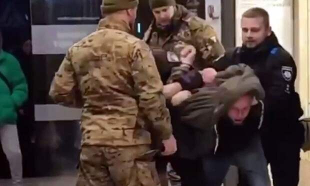 Зеленский хочет создать контрактную армию «как у Путина»: что предлагают в Киеве