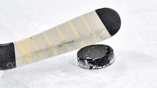 Школьники-хоккеисты из Москвы отбились от нападок извращенца