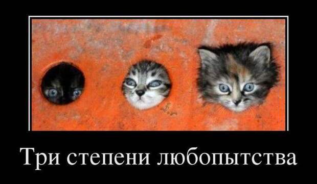 Всячина...