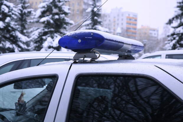 Мать пропавшего в Ленобласти подростка обратилась к нему