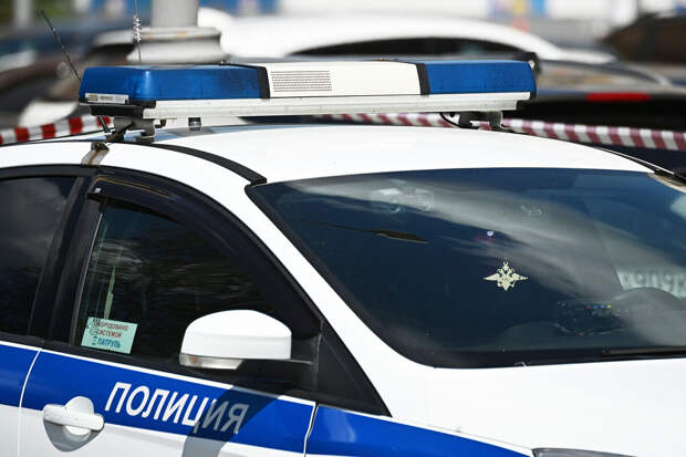 В Москве суд отправил в изолятор владельца тонированной BMW