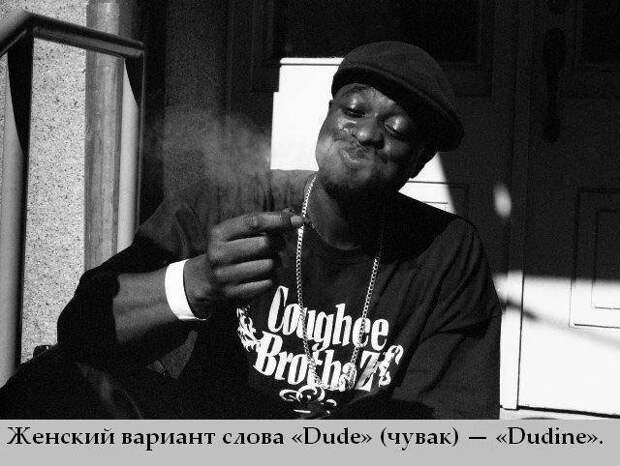 Интересности обо всем