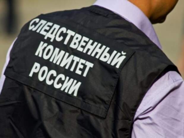 Глава ведомства запросил доклад по доводам публикации о длительном расследовании обстоятельств ДТП в Челябинской области