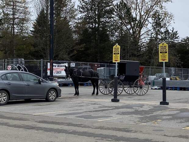 Подборка прикольных картинок