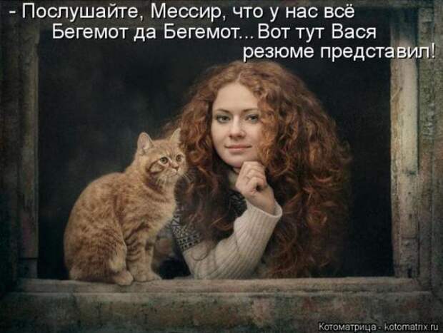 Котоматрицы(картинки с надписями)