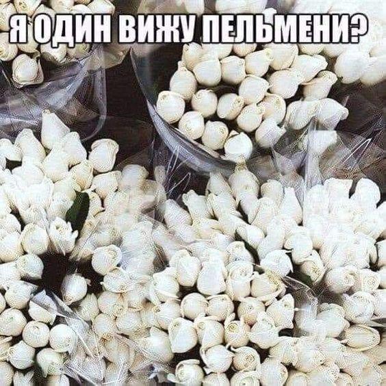 Самые смешные свежие картинки с надписями (четверг)