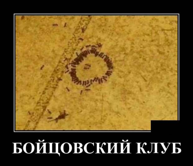 Демотиваторы (30 фото)