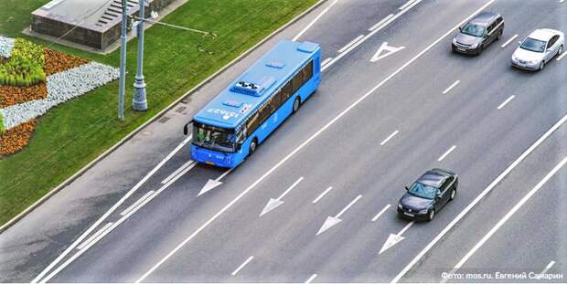 автобус транспорт