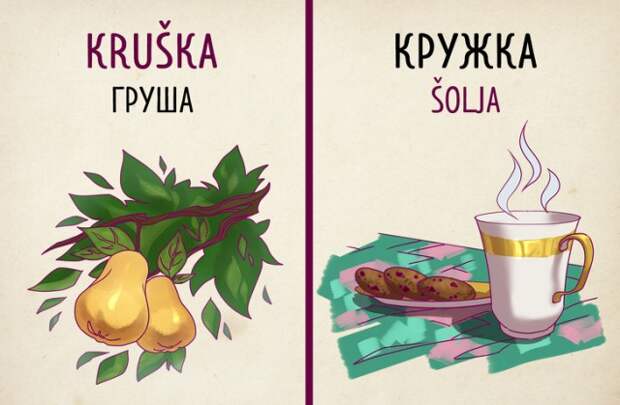 Русским туристам в Сербии на заметку: созвучные слова и их значения Русским туристам в Сербии на заметку: созвучные слова и их значения