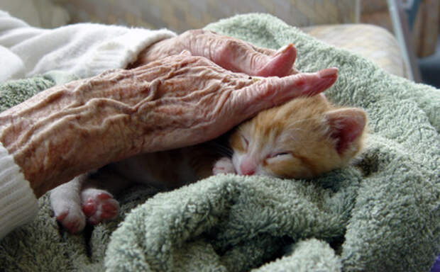 14 Ways Your Cat Improves Your Health