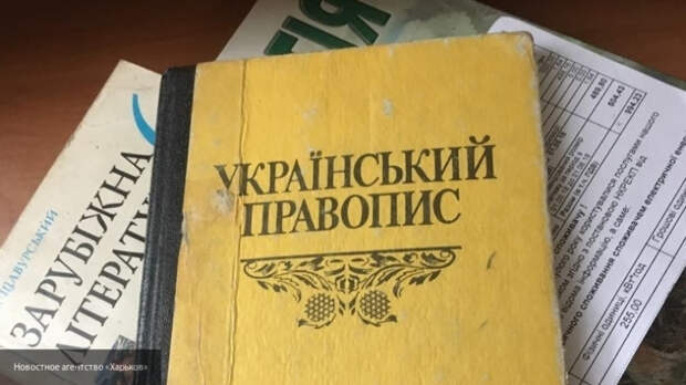 Депутат Рады заявил о законном праве использования русского языка на Украине