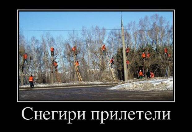 Прикольные демотиваторы февраля! (2014) 