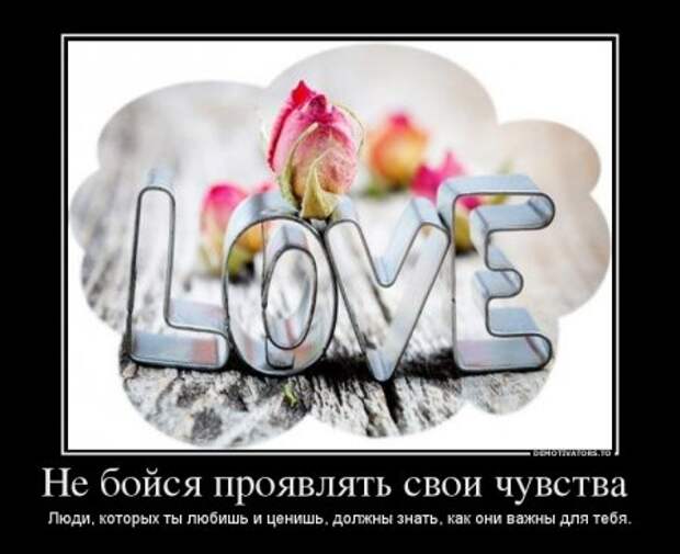 Демотиваторы на тему - Наши чувства.