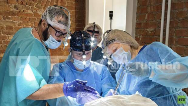 Источник: в Петербурге хранили купленные у патологоанатома трупы в жилом доме