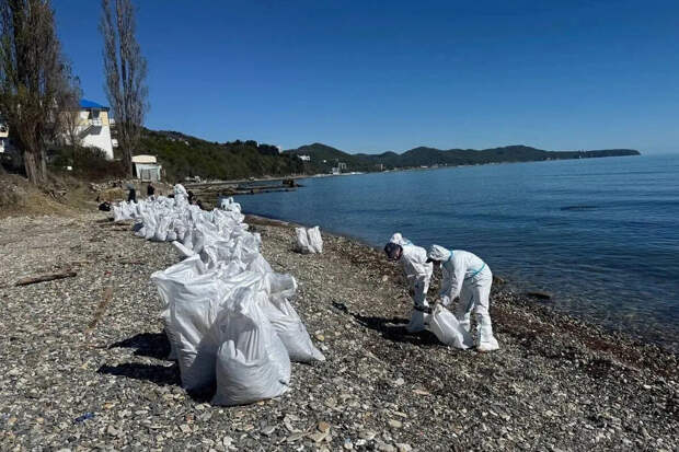 В Туапсе увеличили группировку по ликвидации разлива нефти до 360 человек