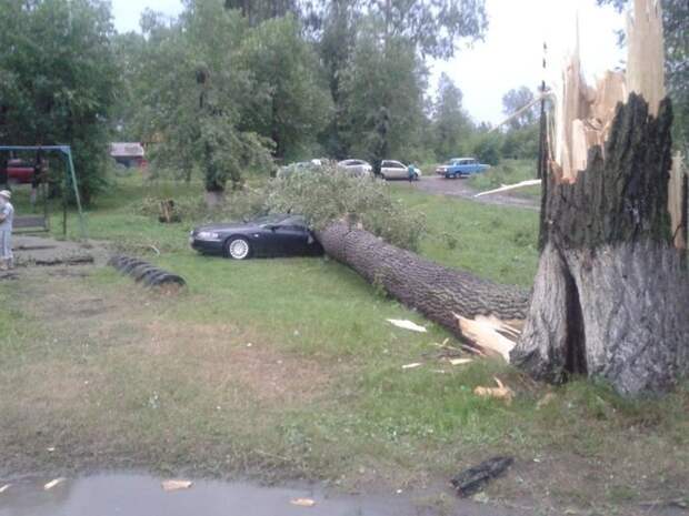 fotografiy-prikolnyh-podborka-kartinki-smeshnye-kartinki-fotoprikoly fotografiy-prikolnyh-podborka-kartinki-smeshnye-kartinki-fotoprikoly