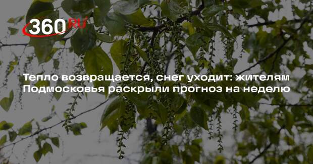 Синоптик Шувалов: снег растает в Москве и Подмосковье к 1 мая