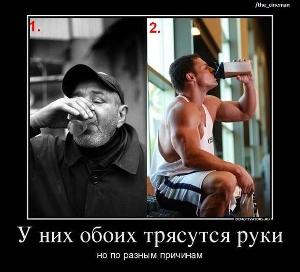 Смешные картинки про алкоголиков (15 фото)
