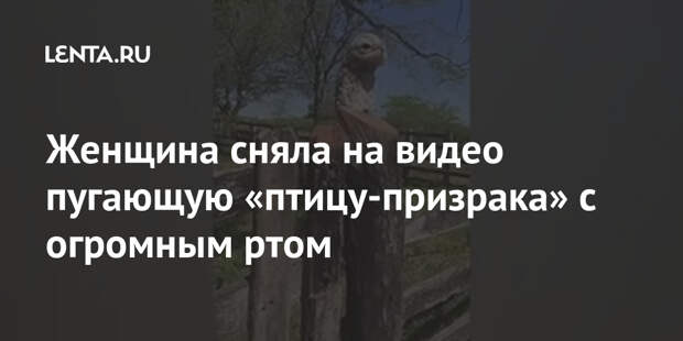 Женщина сняла на видео пугающую «птицу-призрака» с огромным ртом