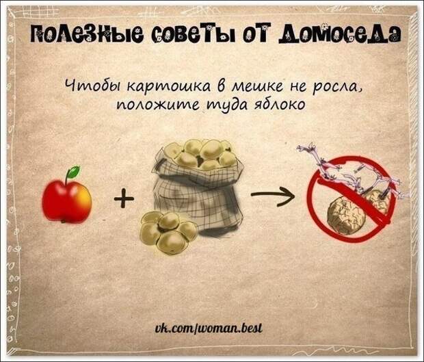 На заметку хозяюшкам
