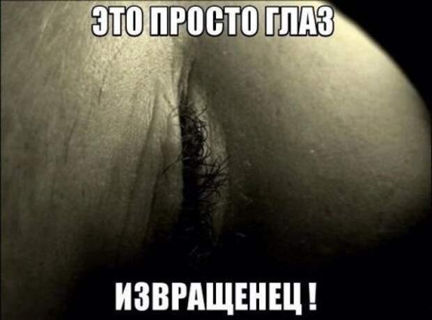 Картинки по запросу приколы