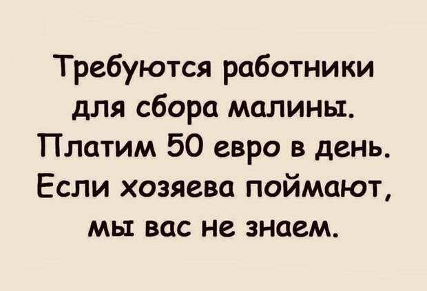 Требуются Требуются