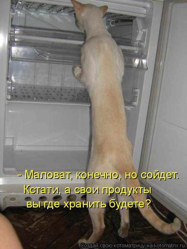 Лучшие котоматрицы недели (50 фото) Лучшие котоматрицы недели (50 фото)