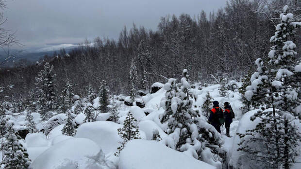 Депутат Леонов: все разумные задачи по поиску семьи Усольцевых выполнены