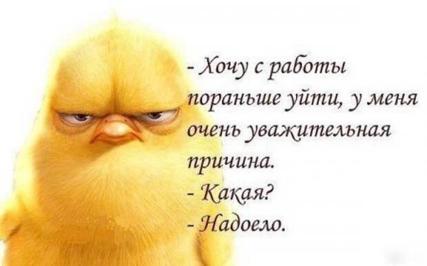 Прикольные картинки, все на своих местах.