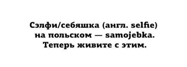 Прикольные картинки (104 фото)