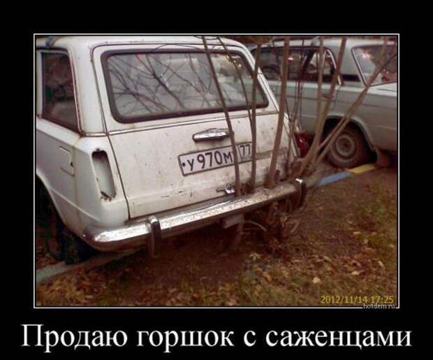 Демотиваторы дня. Феерично!