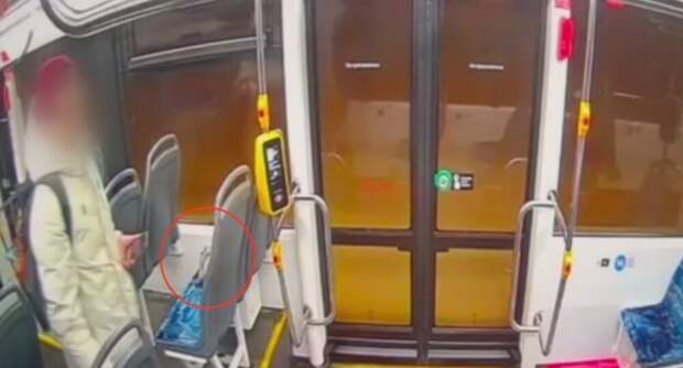 Мужчина похитил сумку забывчивой пассажирки