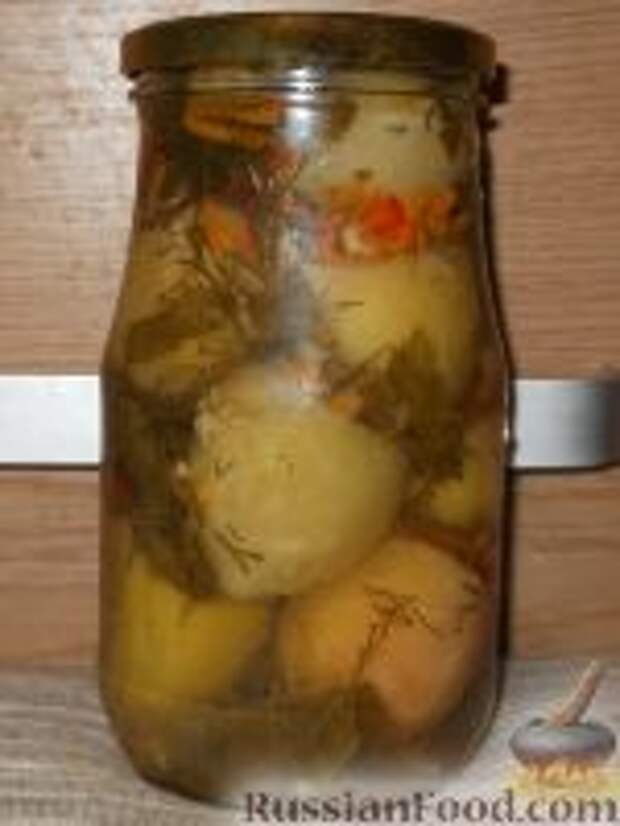 Фото к рецепту: Фаршированные зеленые помидоры Фото к рецепту: Фаршированные зеленые помидоры