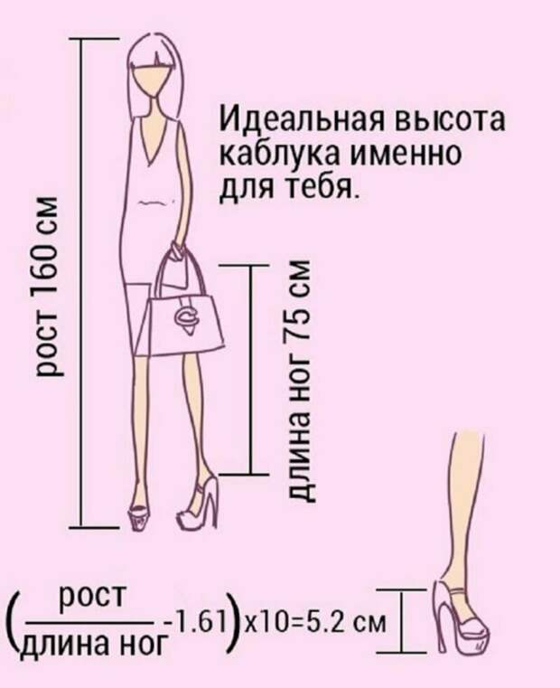 Немного наших размерах и мерках Немного наших размерах и мерках измерения, интересное, мерки, подсказки, тело, факт, человек, шпаргалки