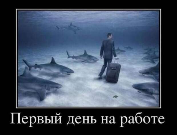 Подборка классных демотиваторов  № 58