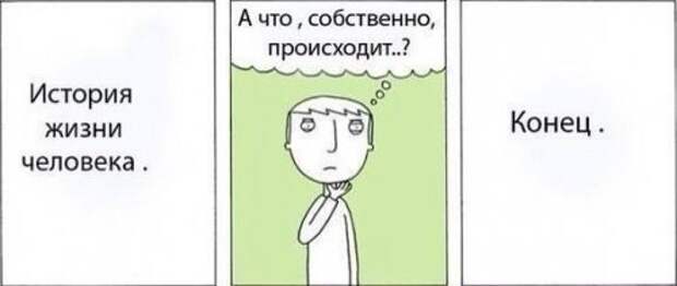Прикольных картинок много не бывает (33 шт)