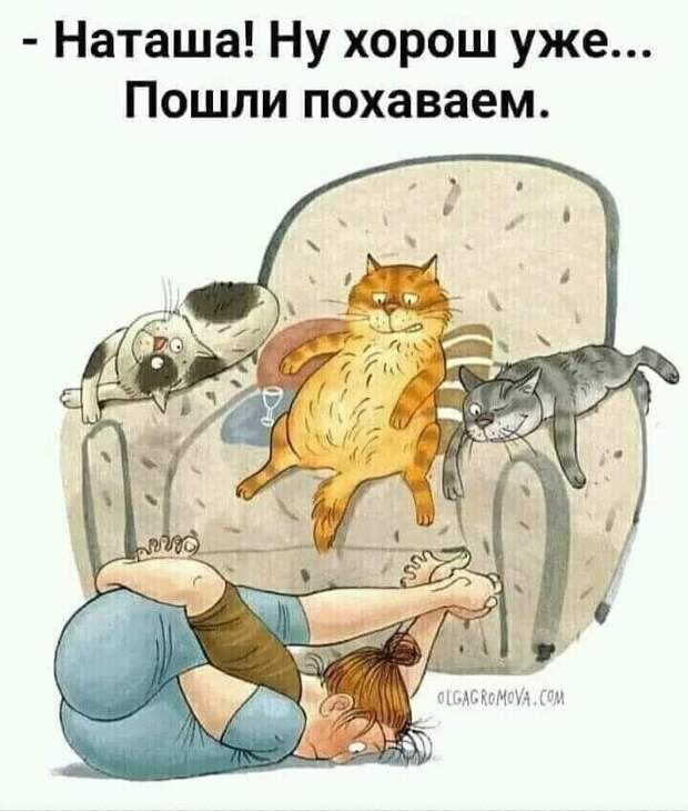 Возможно, это изображение (один или несколько человек, кот и текст)