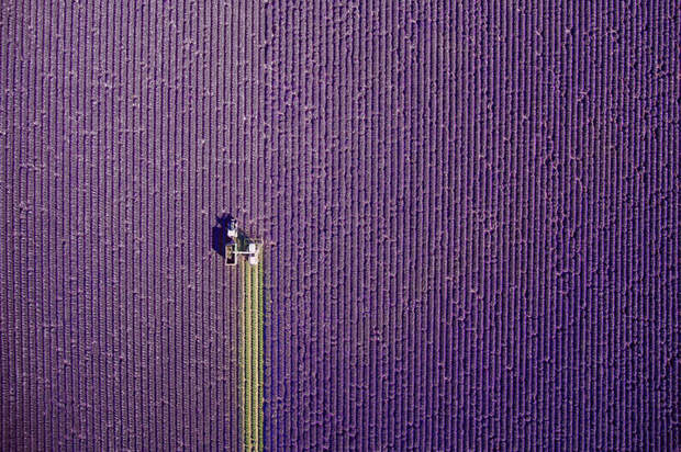 The Best Drone Photos Of 2017 Have Just Been Announced, And They Will Take Your Breath Away