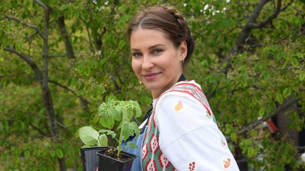 Чего только не придумают: топ гаджетов, которые облегчат работу в саду