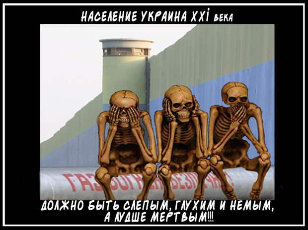 getImage (14)