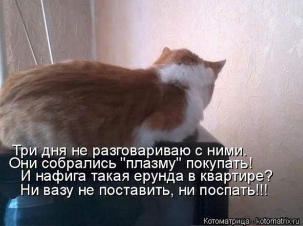 Котоматрицы (картинки с надписями)