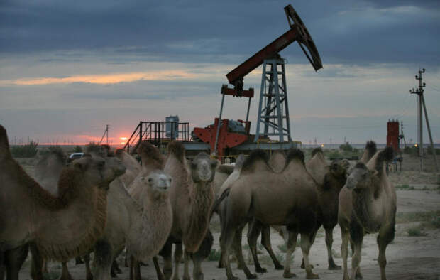 В чем причина прекращения транзита казахской нефти по "Дружбе"?